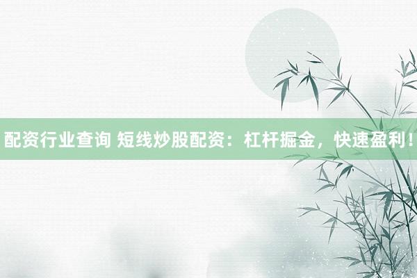 配资行业查询 短线炒股配资：杠杆掘金，快速盈利！