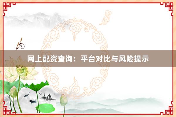 网上配资查询：平台对比与风险提示