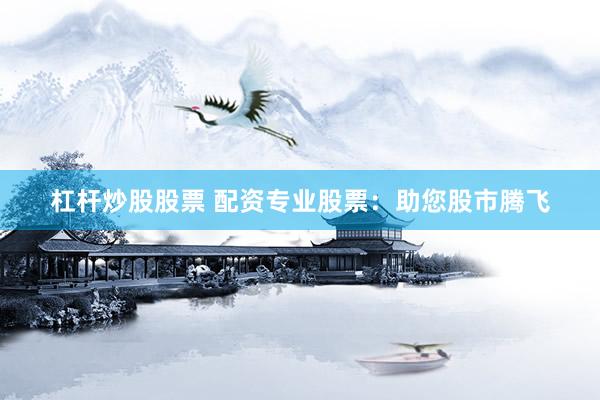杠杆炒股股票 配资专业股票：助您股市腾飞