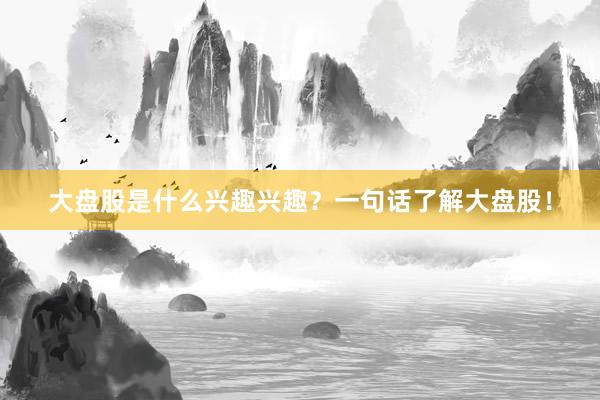 大盘股是什么兴趣兴趣？一句话了解大盘股！