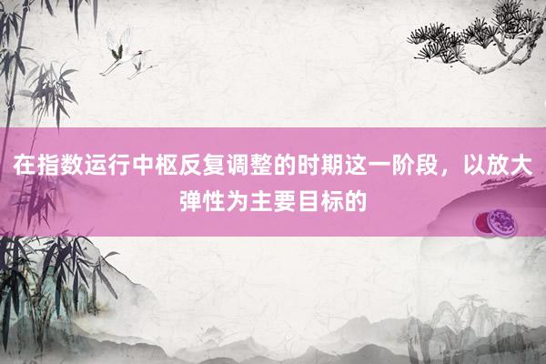 在指数运行中枢反复调整的时期这一阶段，以放大弹性为主要目标的