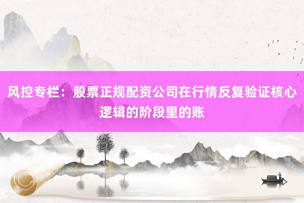 风控专栏：股票正规配资公司在行情反复验证核心逻辑的阶段里的账