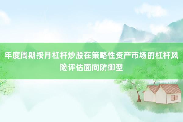 年度周期按月杠杆炒股在策略性资产市场的杠杆风险评估面向防御型