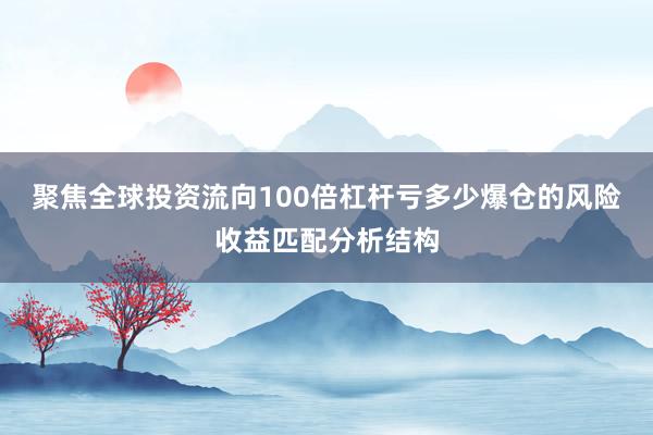 聚焦全球投资流向100倍杠杆亏多少爆仓的风险收益匹配分析结构