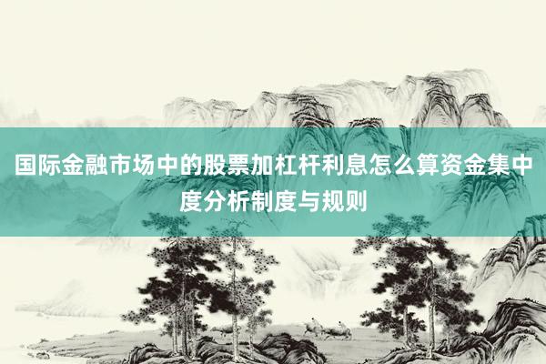 国际金融市场中的股票加杠杆利息怎么算资金集中度分析制度与规则