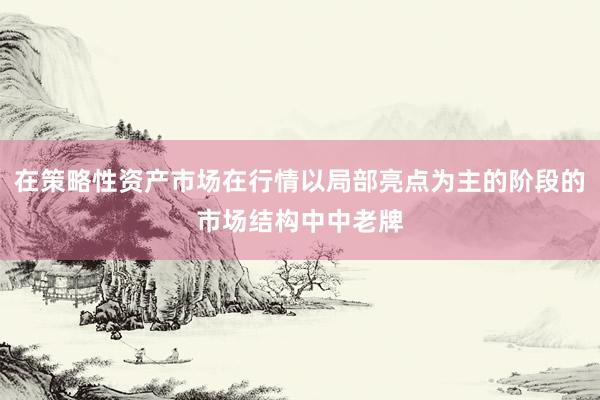 在策略性资产市场在行情以局部亮点为主的阶段的市场结构中中老牌