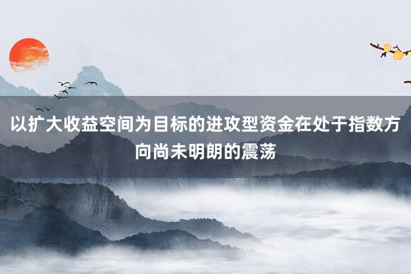 以扩大收益空间为目标的进攻型资金在处于指数方向尚未明朗的震荡
