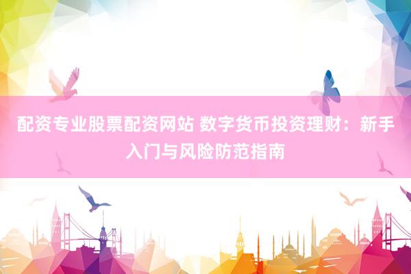 配资专业股票配资网站 数字货币投资理财：新手入门与风险防范指南